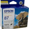 Inkjets | Epson Epson C13T087090 - T0870 Ink Cartridge High Yield Twin Gloss Optimiser