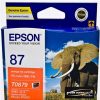 Inkjets | Epson Epson C13T087990 - T0879 Ink Cartridge Orange